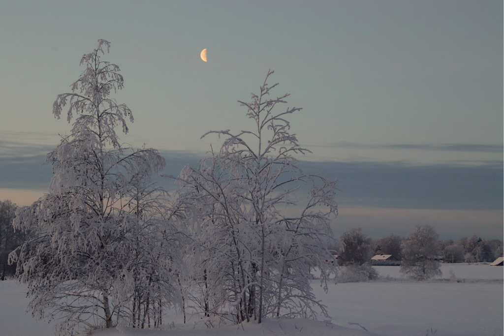 The Winter Solstice: The Shortest Day of the Year